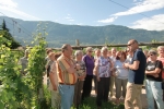 cimg1141-kopie cimg1141-kopie
